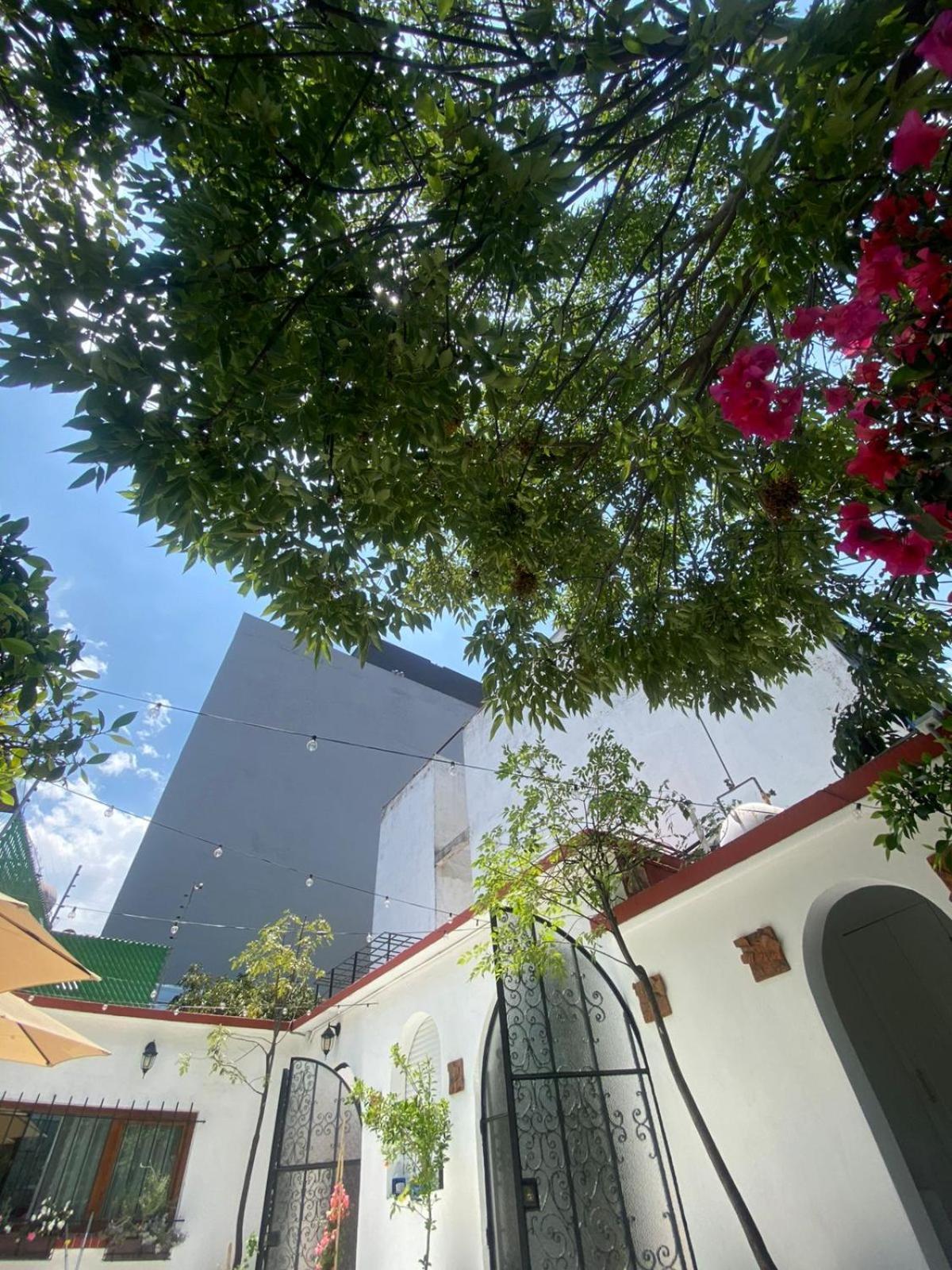Nokal Exclusive Stay Мексико Сити Екстериор снимка